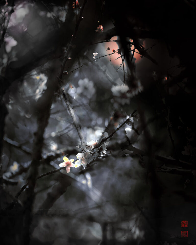 Li Faxue - Subtle-Fragrance-4